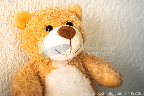 Image of sweet little teddy bear