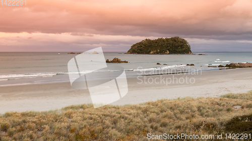 Image of Bay Of Plenty