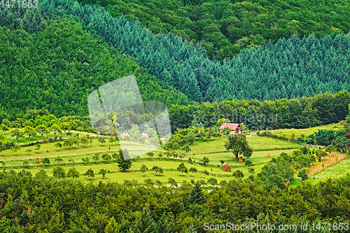 Image of Agriculture field in Romania