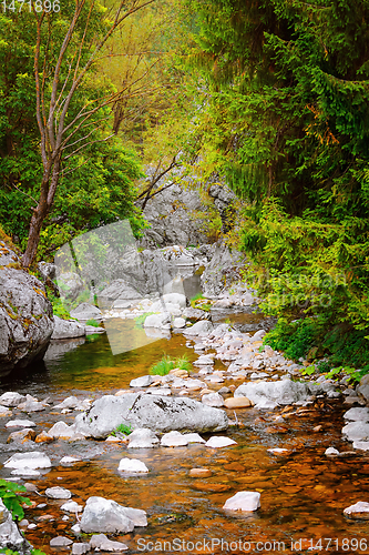Image of Mountain river in Rhodope Mountains