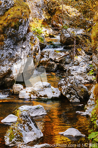 Image of Mountain river in Rhodope Mountains