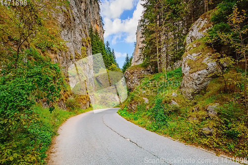 Image of Road in Rhodope Mountains