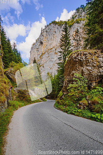 Image of Road in Rhodope Mountains