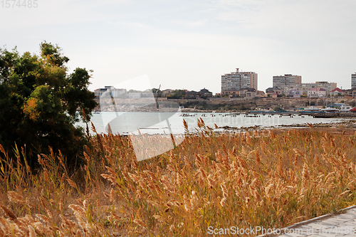 Image of Autumn coast of the Caspian Sea.