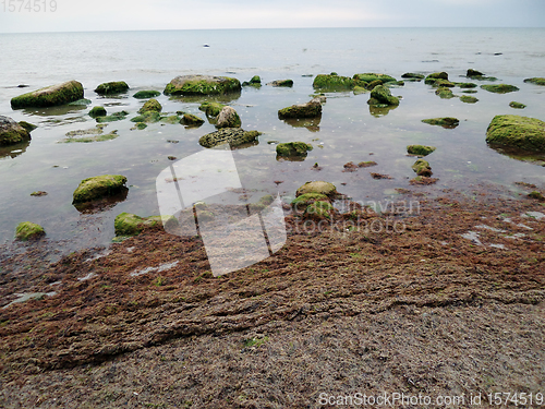 Image of Sandy stony seashore.
