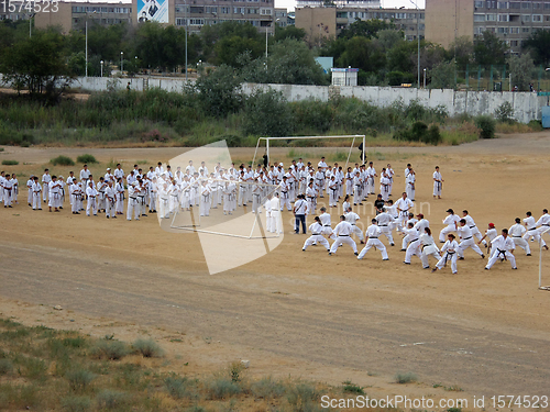 Image of Martial Arts Athletes.