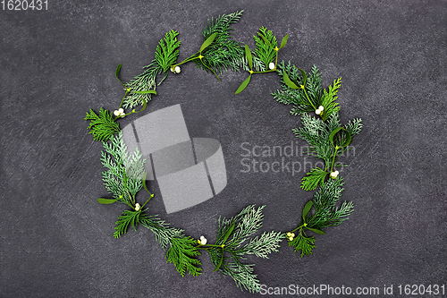 Image of Winter Solstice Mistletoe and Cedar Cypress Wreath