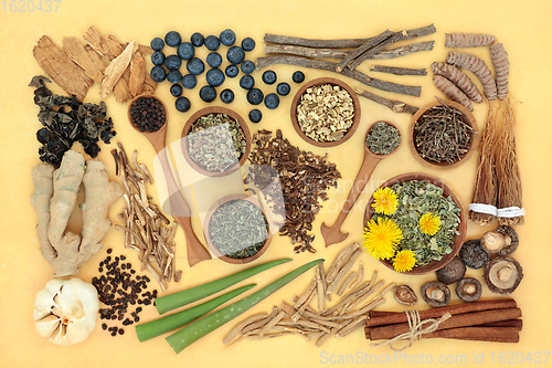 Image of Adaptogen Health Food Collection