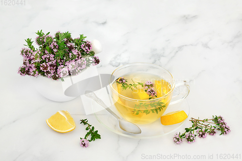 Image of Thyme Herb Medication for Cold and Flu Virus