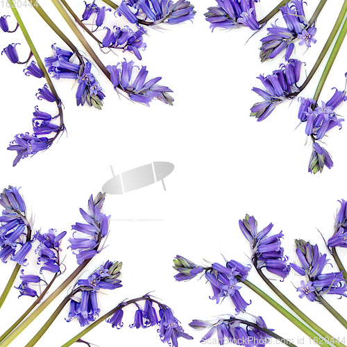 Image of Bluebell Wildflower Abstract Background Border