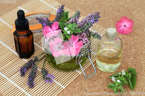 Image of Naturopathic Herbal Medicine with Flowers and Herbs