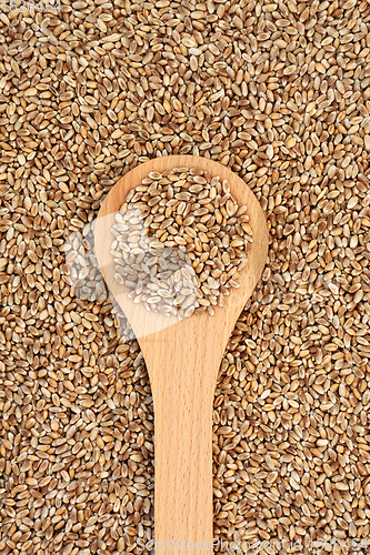 Image of Healthy Mulika Wheat Berries