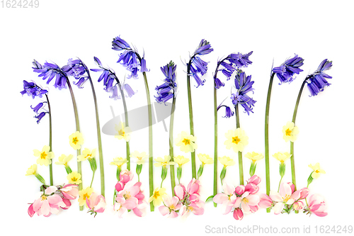 Image of Abstract Spring Wildflower Composition