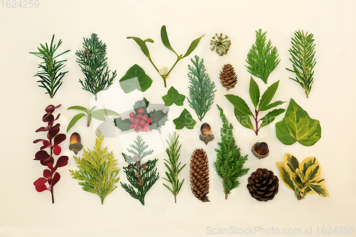 Image of Traditional Winter Flora and Fauna