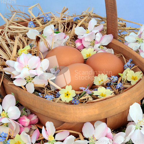 Image of Eggs at Easter and Flower Composition