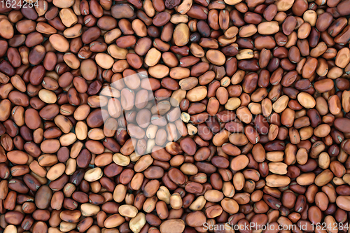 Image of Dried Fava Beans Health Food