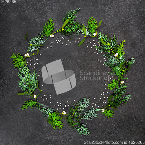 Image of Mistletoe & Cedar Winter Solstice Wreath