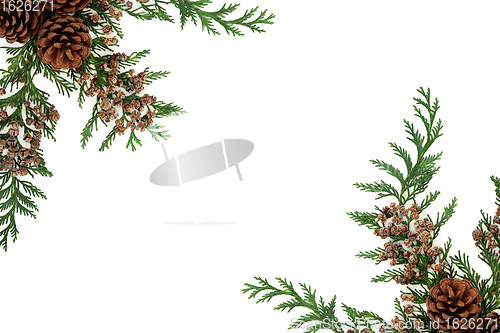 Image of Winter Greenery Border with Cedar & Pine Cones