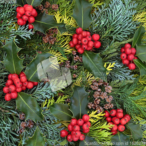 Image of Cedar Leaf Greenery and Winter Holly Background  