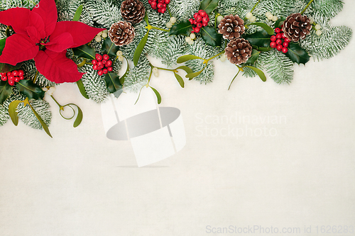 Image of Poinsettia Flower Border and Winter Greenery 