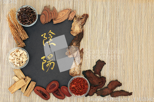 Image of Traditional Chinese Yin and Yang Herbs