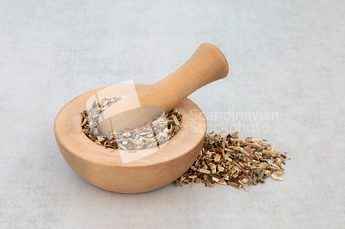 Image of Grindelia Herb Herbal Medicine