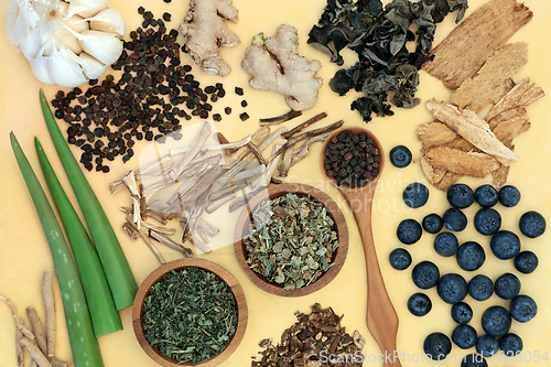 Image of Adaptogen Herbal Pharmaceuticals