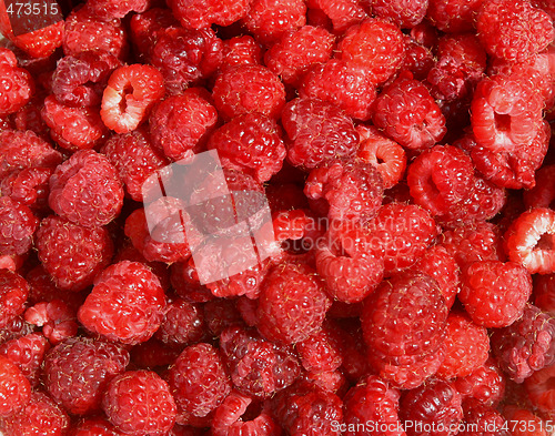 Image of raspberries