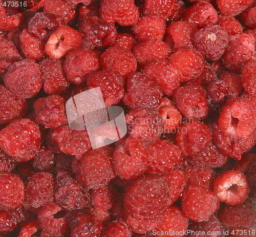 Image of raspberries