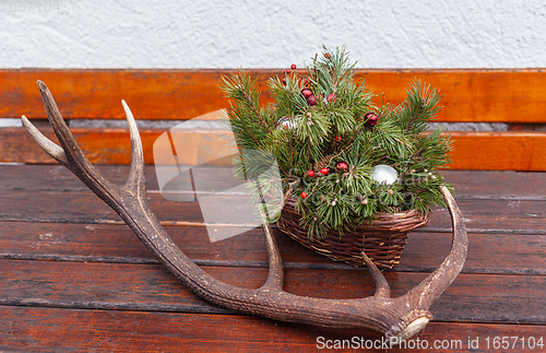 Image of Christmas decoration for outside