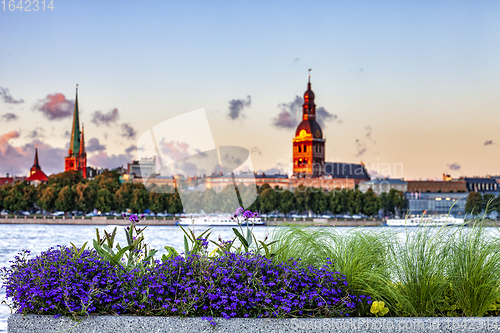 Image of Urban flower pots with Riga old town skyline