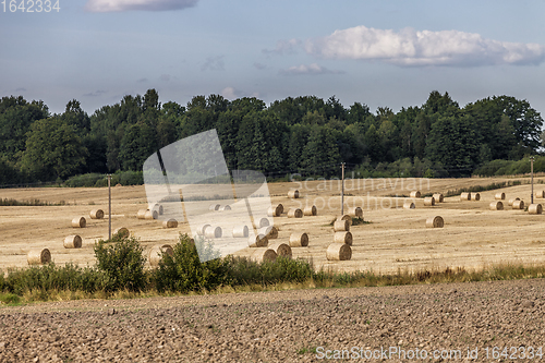 Image of Farmland with Ray Rolls and Plowed Land