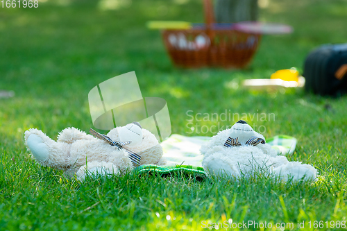 Image of Two plush toys lie on their backs on the green grass