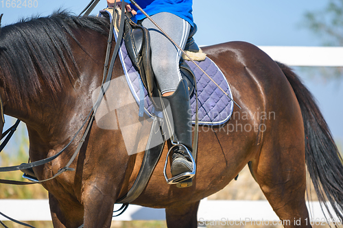 Image of The rider sits on a horse, a view of the saddle and stirrup