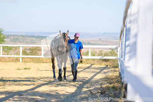 Image of A girl walks with a horse on a paddock on a farm