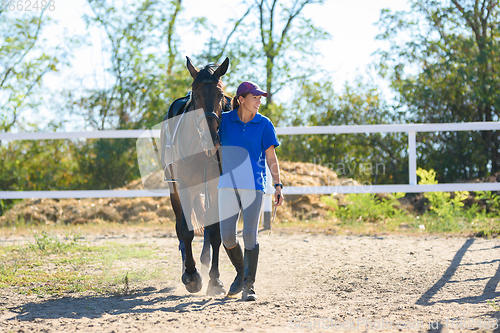 Image of Girl after everyday equestrian training goes across the field with a horse