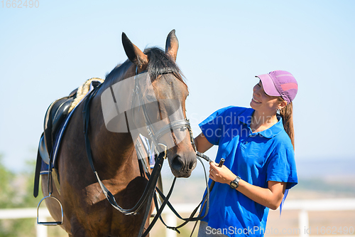 Image of Happy beautiful girl looking at a horse on a warm summer day