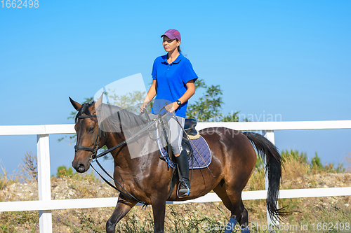 Image of Pretty girl in casual clothes rides a horse