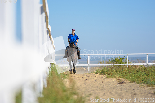 Image of Girl rides a horse on a paddock on a farm