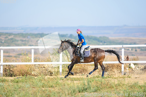 Image of Girl rides a horse along the fence of the corral