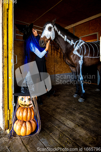 Image of A girl dressed as a witch looks at a horse on which a skeleton is painted in white paint, in the foreground is an evil figurine of pumpkins