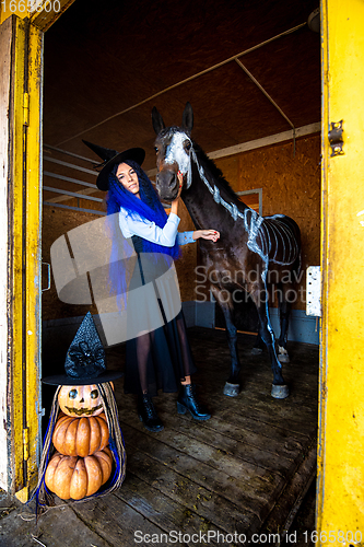 Image of A girl dressed as a witch stands in a corral with a horse on which a skeleton is painted in white paint, in the foreground is an evil figurine of pumpkins