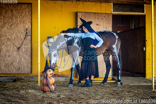 Image of A horse is sniffing an impromptu figurine of pumpkins, a girl dressed as a witch is standing nearby and smiling