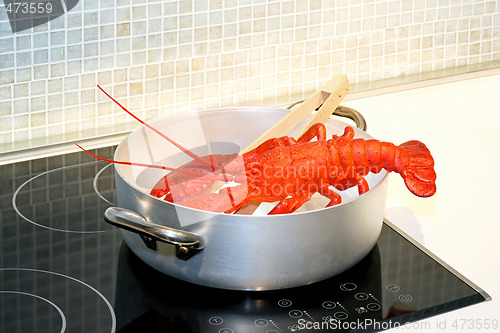 Image of Lobster