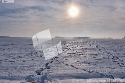 Image of Winter landscape with animal track