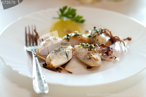Image of squid