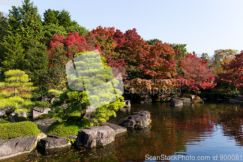 Image of Japanese garden with autumn scene