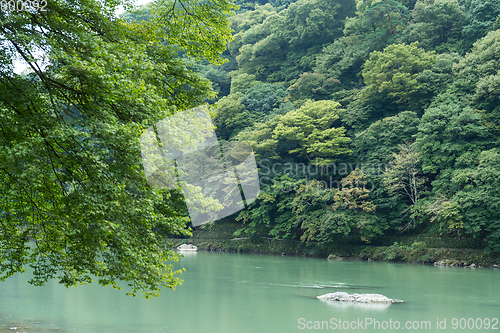 Image of Lake in arashiyama, Japan