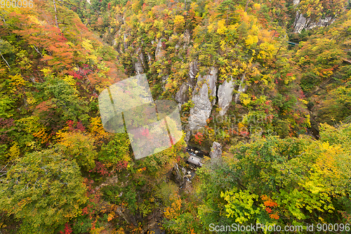 Image of Beautiful landscape in autumn season