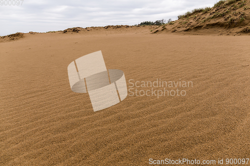 Image of Tottori sand dunes
